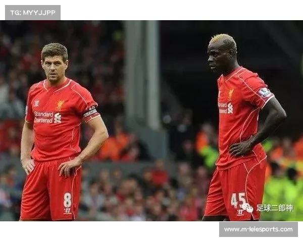 迪乌夫子女抚养费纠纷升级，前利物浦前锋法律问题缠身