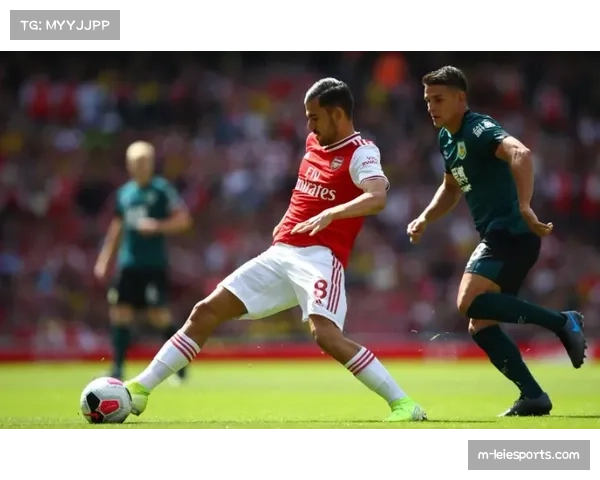 汉堡vs多特:雨中技术统计,传球成功率降